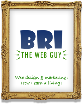 Bri the Web Guy